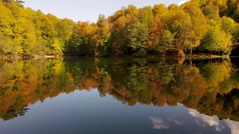 Autumn And Reflection Stock Footage 332344110
