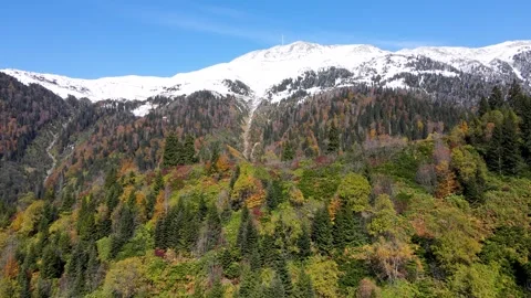 Autumn And Winter Video stock 332942179