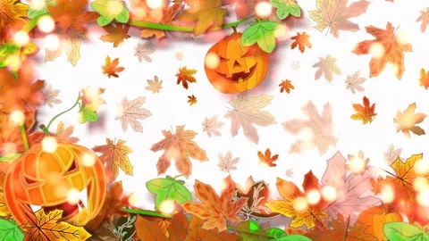 Autumn animation . Stock Footage 157424762