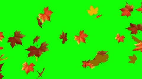 Autumn animations green screen Stock Footage 202899558