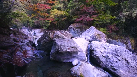Autumn in Ankyo Valley Vidéo 332229396
