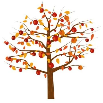 Autumn Apple Tree with red apple fruits and yellow leaves vector illustration Stock Illustration