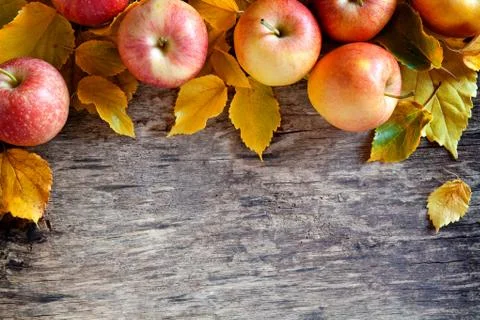 Autumn Apples Backdrop Stock Photos