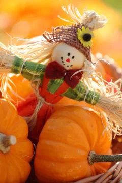 Autumn arrangement Stock Photos