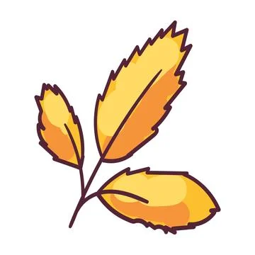 Autumn Ash Tree Leaf Foliage Stroked Illustration Stock Illustration