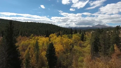 Autumn Aspens Fly Over Stock Footage 71965309