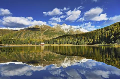 Autumn atmosphere with discoloured larches, Lake Staz, Lej da Staz, St. Moritz Stock Photos