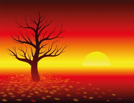 Autumn Atmosphere Sunset Leafless Tree Stock Illustration