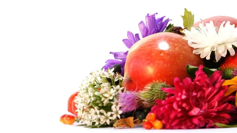 Autumn Attributes composition 2 動画素材 103842123