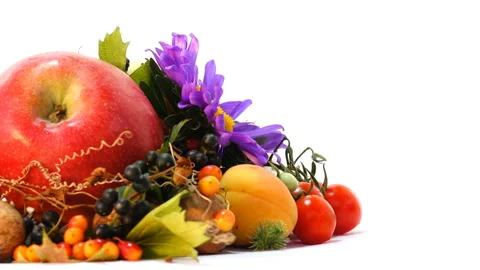 Autumn Attributes composition 3 Vídeo Stock 103841955