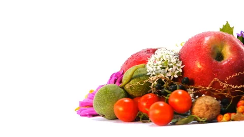 Autumn Attributes composition 5 Video stock 103841665