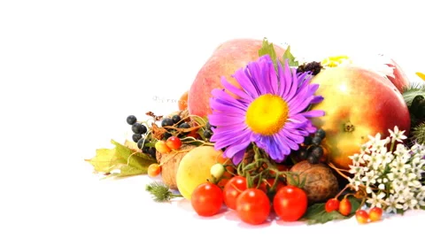 Autumn Attributes composition 6 스톡 동영상 103842836