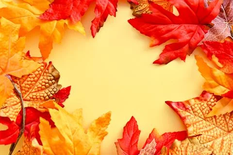 Autumn backdrop, fall mockup frame with orange leaves on bright background, c Stock-Fotos