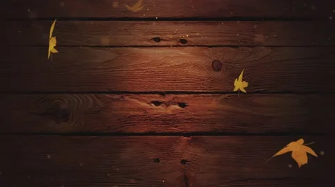 Autumn backdrop Stock Footage 54460927