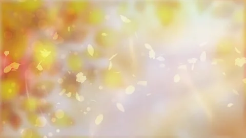 Autumn Background 1 Stock Footage 159602756