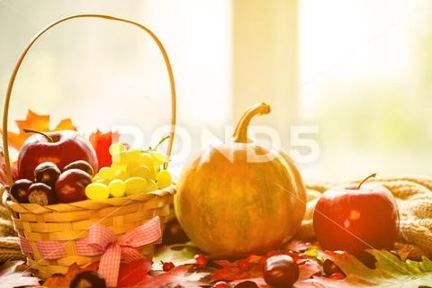 Autumn background basket with yellow leaves, grapes, red apples and pumpkins. Stock Photos