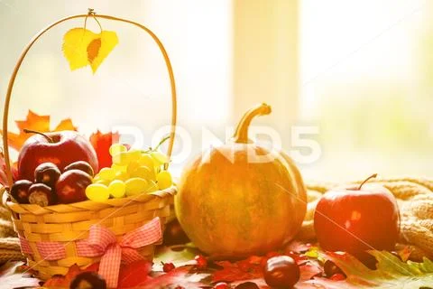 Autumn background basket with yellow leaves, grapes, red apples and pumpkins. Stock Photos