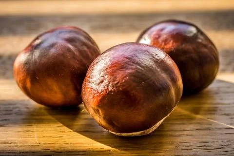 Autumn background with chestnut Stock Photos