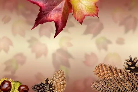 Autumn background with chestnuts 库存照片