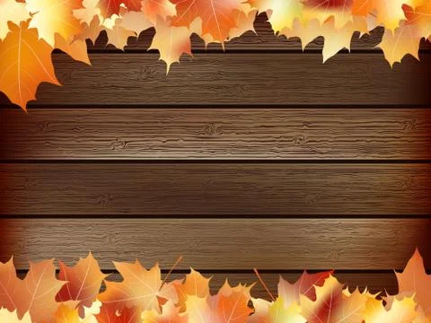 Autumn background with colored leaves. plus EPS10 Stock Illustration
