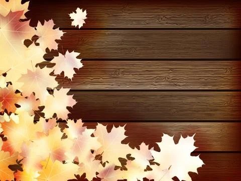 Autumn background with colored leaves. plus EPS10 Stock Illustration