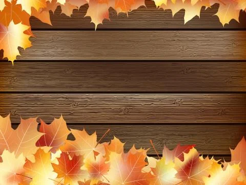 Autumn background with colored leaves. plus EPS10 Stock Illustration