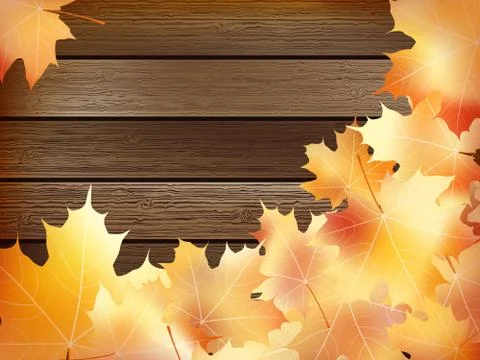Autumn background with colored leaves. plus EPS10 Stock-Illustration