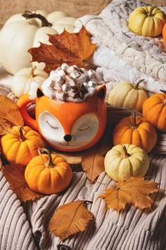 Autumn background. Cozy Fall Fox Mug Filled with Hot Chocolate and Marshmallo Stock Photos