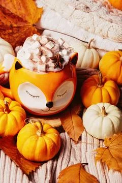Autumn background. Cozy Fall Fox Mug Filled with Hot Chocolate and Marshmallo Stock Photos