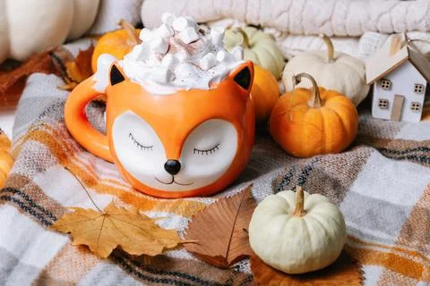 Autumn background. Cozy Fall Fox Mug Filled with Hot Chocolate and Marshmallo Stock Photos