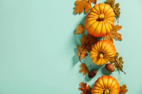 Autumn background creative layout with decorative small pumpkins and autumn.. Stock Photos