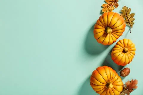 Autumn background creative layout with decorative small pumpkins and autumn.. Stock Photos