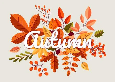Autumn background. Fall composition with yellow orange and red forest leaves Stock Illustration