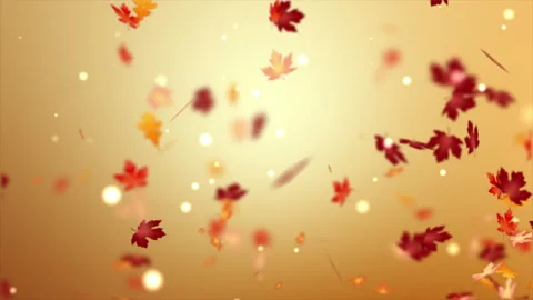 Autumn background falling dey leaf overlay Stock Footage 138240527