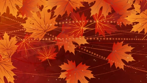 Autumn background with falling leaves Stock Footage 118799199