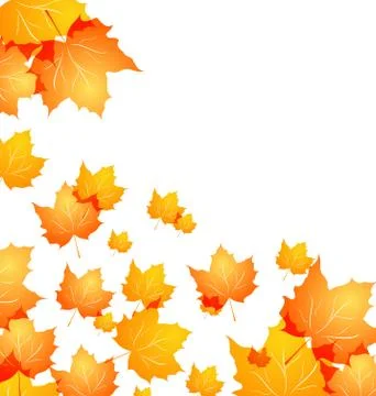 Autumn background with flying maples Stock Illustration