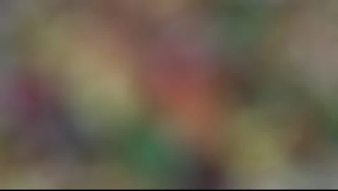 Autumn background Stock Footage 10600090