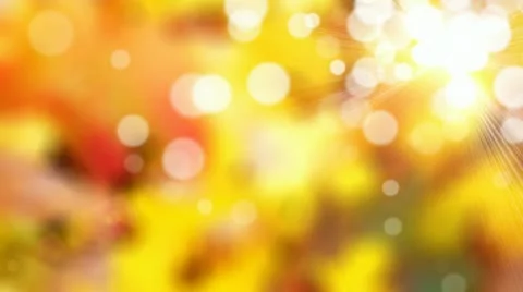 Autumn background Video stock 22169995