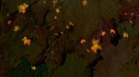 Autumn background Video stock 42967023