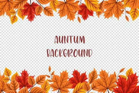 Autumn background hand drawn leaf vector 스톡 일러스트