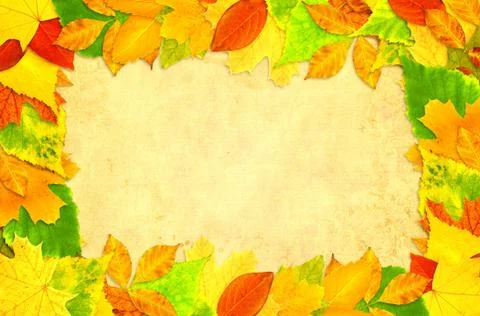 Autumn background Stock Illustration