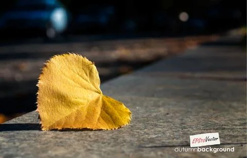 Autumn background Stock Illustration