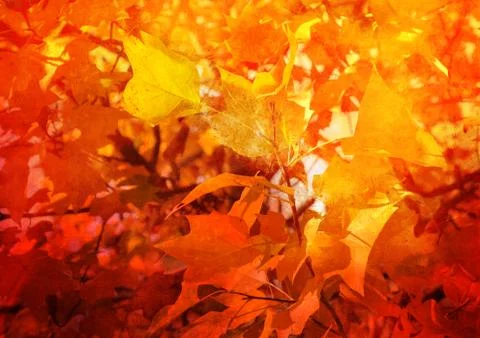Autumn background Stock Illustration