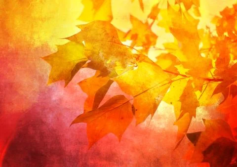 Autumn background Stock Illustration
