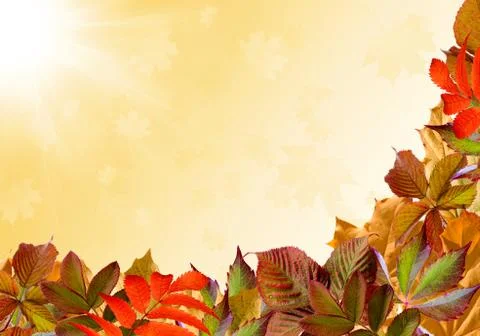 Autumn background. Stock Illustration
