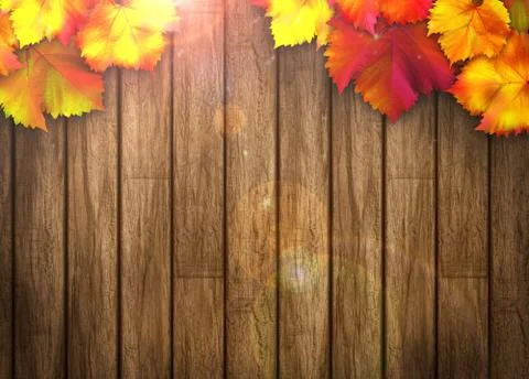 Autumn background Stock Illustration