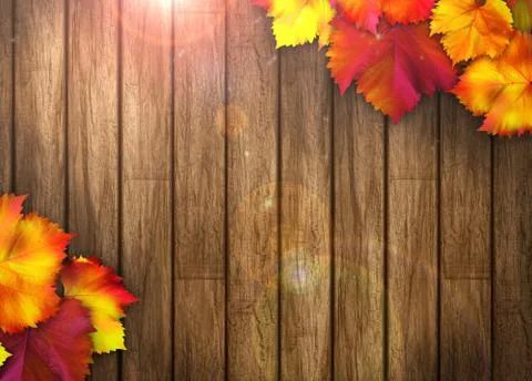 Autumn background Stock Illustration