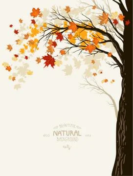 Autumn background Stock Illustration