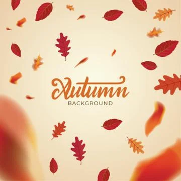 Autumn background layout decorate with falling leaves for greeting promo post Stock Illustration