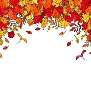 Autumn Background Layout Frame with Falling Leaves. Poster or Card. Maple Row Stock Illustration